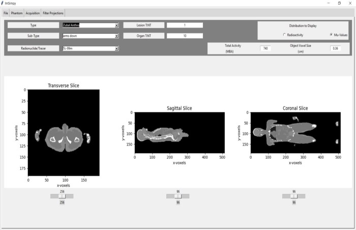 Image of ImSimPy software application.